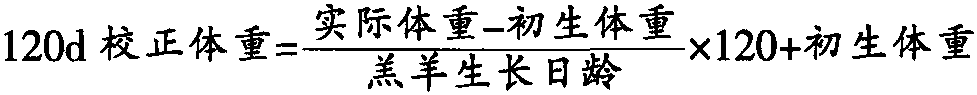 五、羔羊斷奶個體鑒定標準